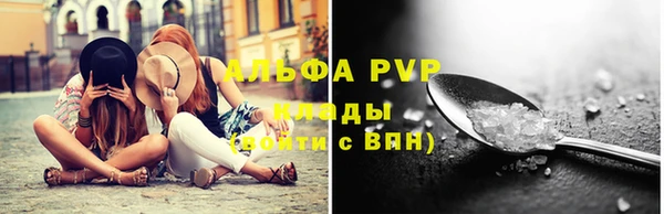 индика Горнозаводск