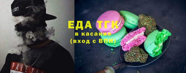 индика Горнозаводск