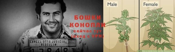 прущая мука Горняк