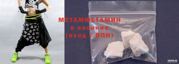 индика Горнозаводск