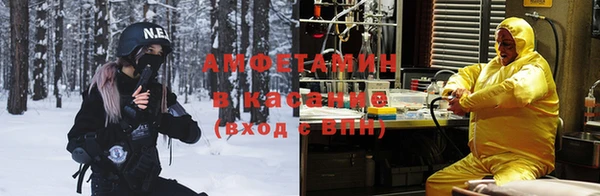 индика Горнозаводск