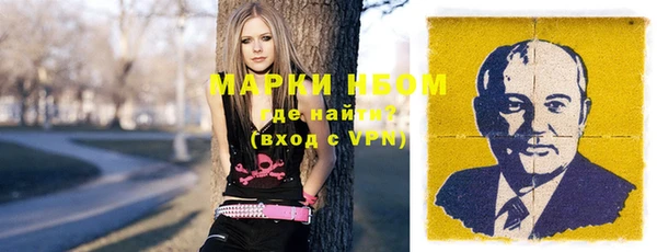 индика Горнозаводск