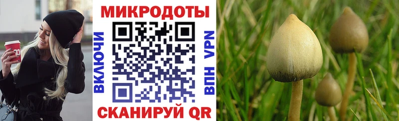 Галлюциногенные грибы Cubensis  Энем 
